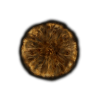 Elden Ring Rune Calculator