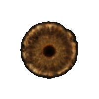 Elden Ring Rune Calculator